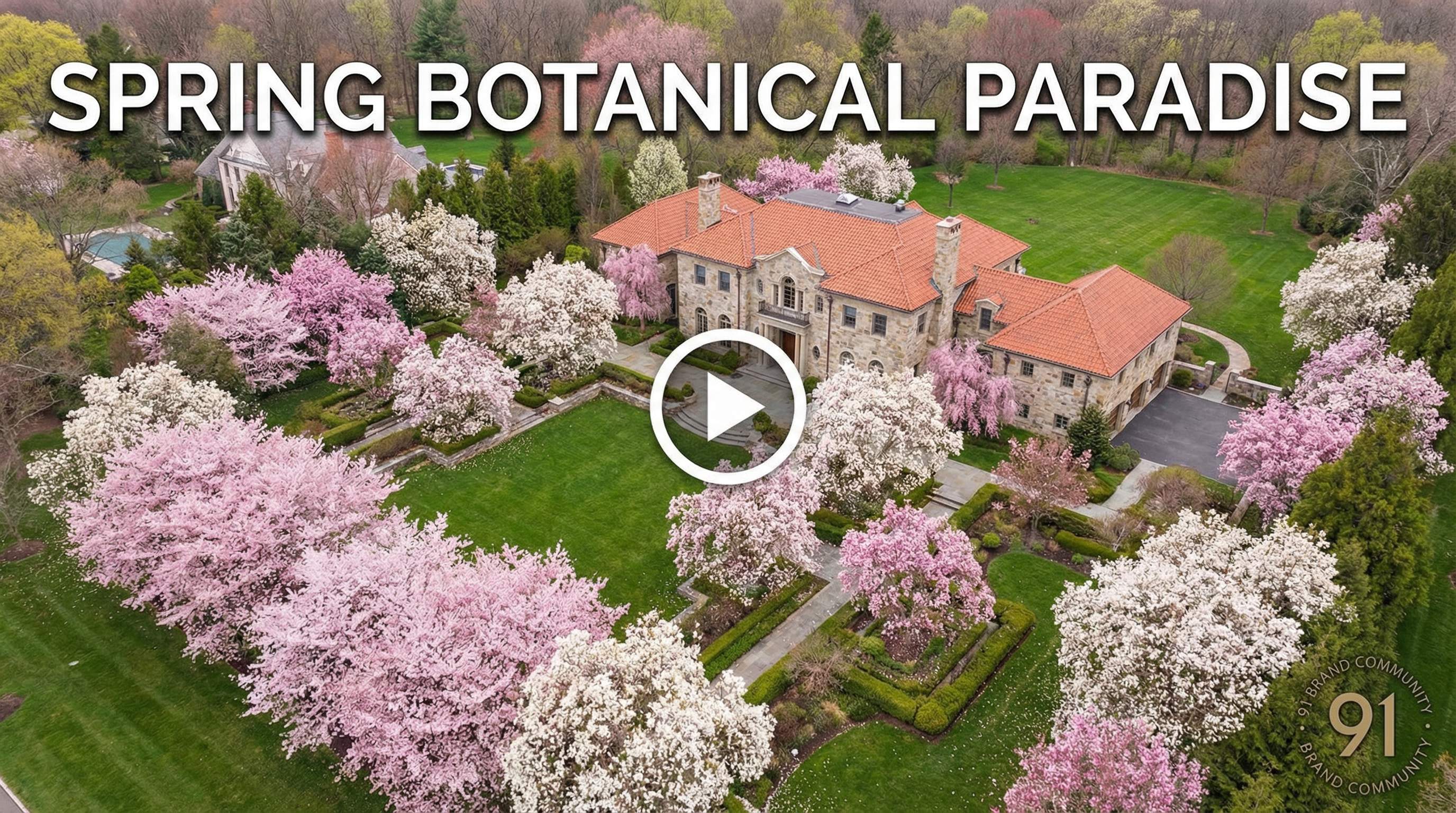 丝瓜视频植物视频